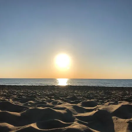 Trilocale Con Spazio Esterno 40 M Dal Mare 公寓 *